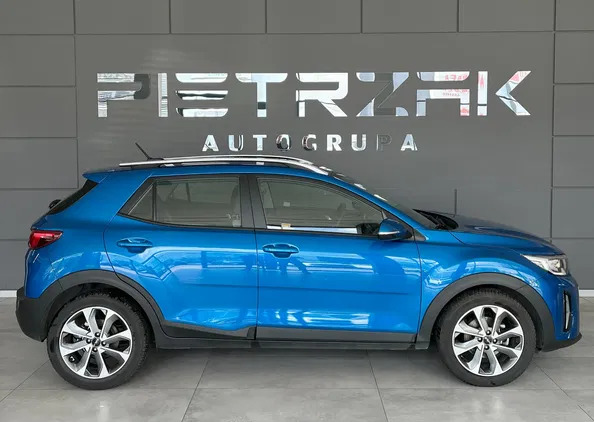 lipno Kia Stonic cena 84900 przebieg: 20521, rok produkcji 2023 z Lipno